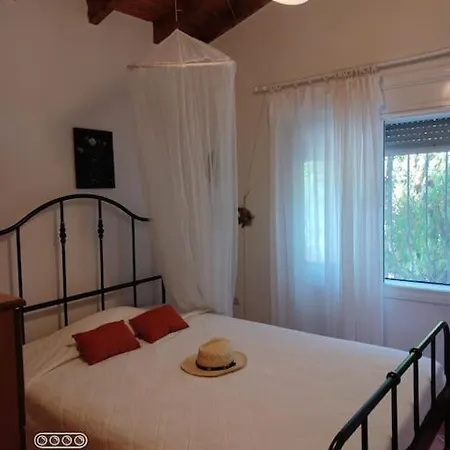 Semesterbostad Natalie's Summer House Halkidiki